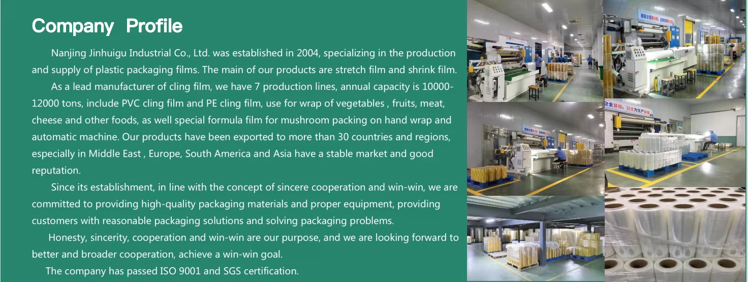 Hồ sơ c&ocirc;ng ty