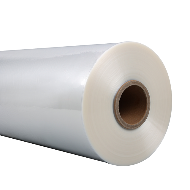 news_main_image_BDF-roll5636304705296984161.png